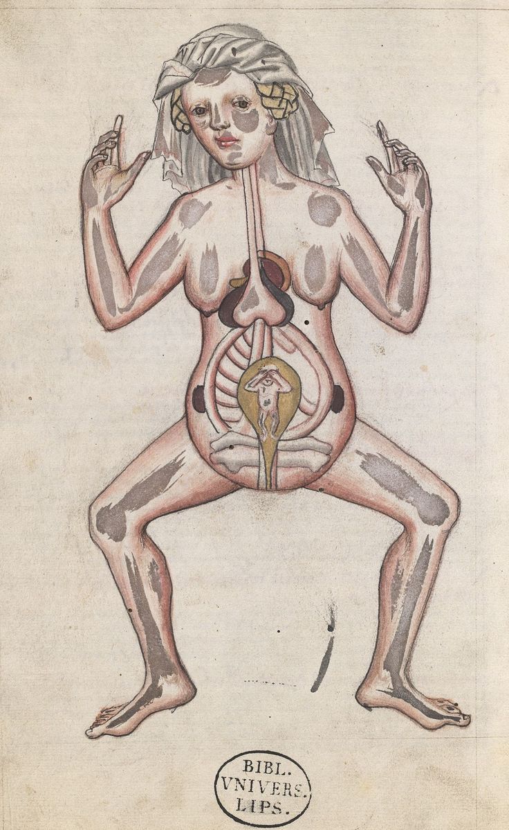 Humoral Medicine | Pregnancy, Birth, and Breastfeeding in the Middle&nbsp;Ages