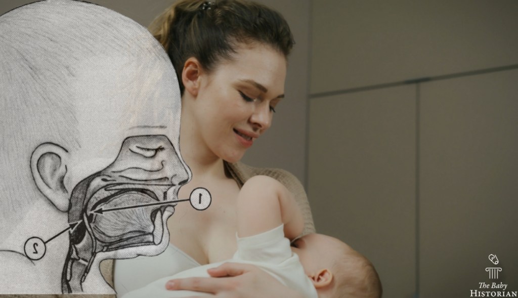 Can Babies Breathe and Swallow at the Same Time? | Rabbit Holes&nbsp;#Shorts