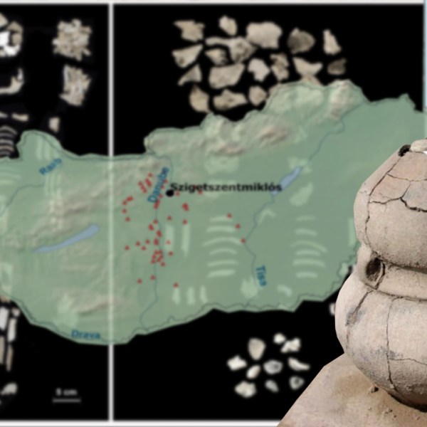 Hungarian Bronze Age Twins |Rabbit Holes&nbsp;#Shorts