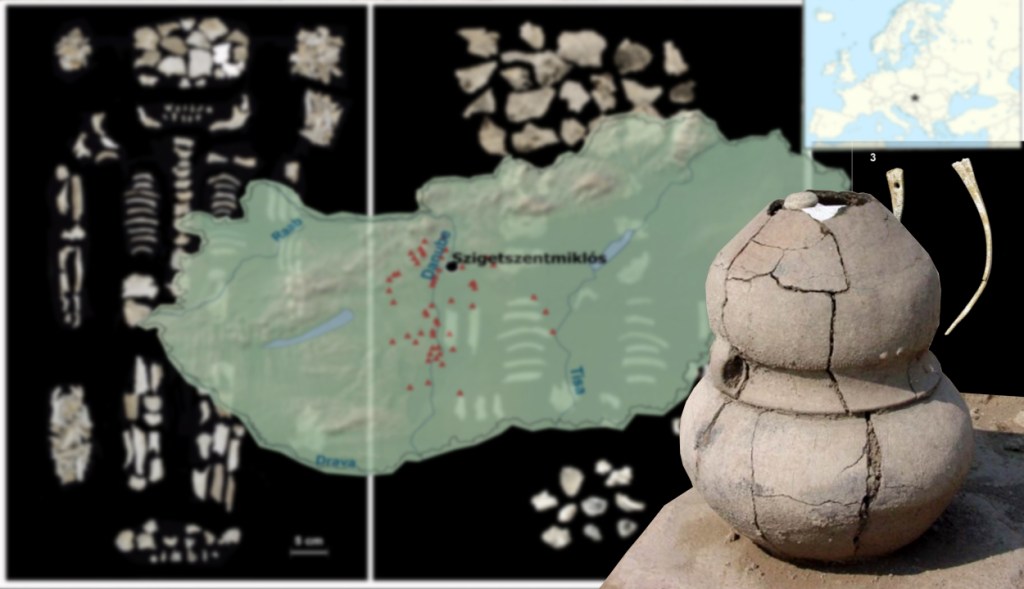 Hungarian Bronze Age Twins |Rabbit Holes&nbsp;#Shorts